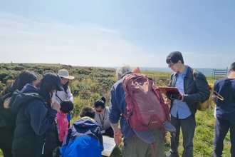 Attendees looking for bugs in gorse on a sunny day